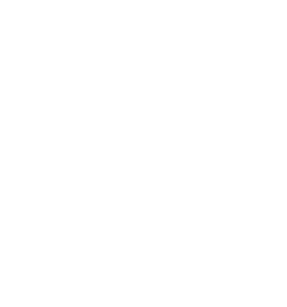 Young Money Traders